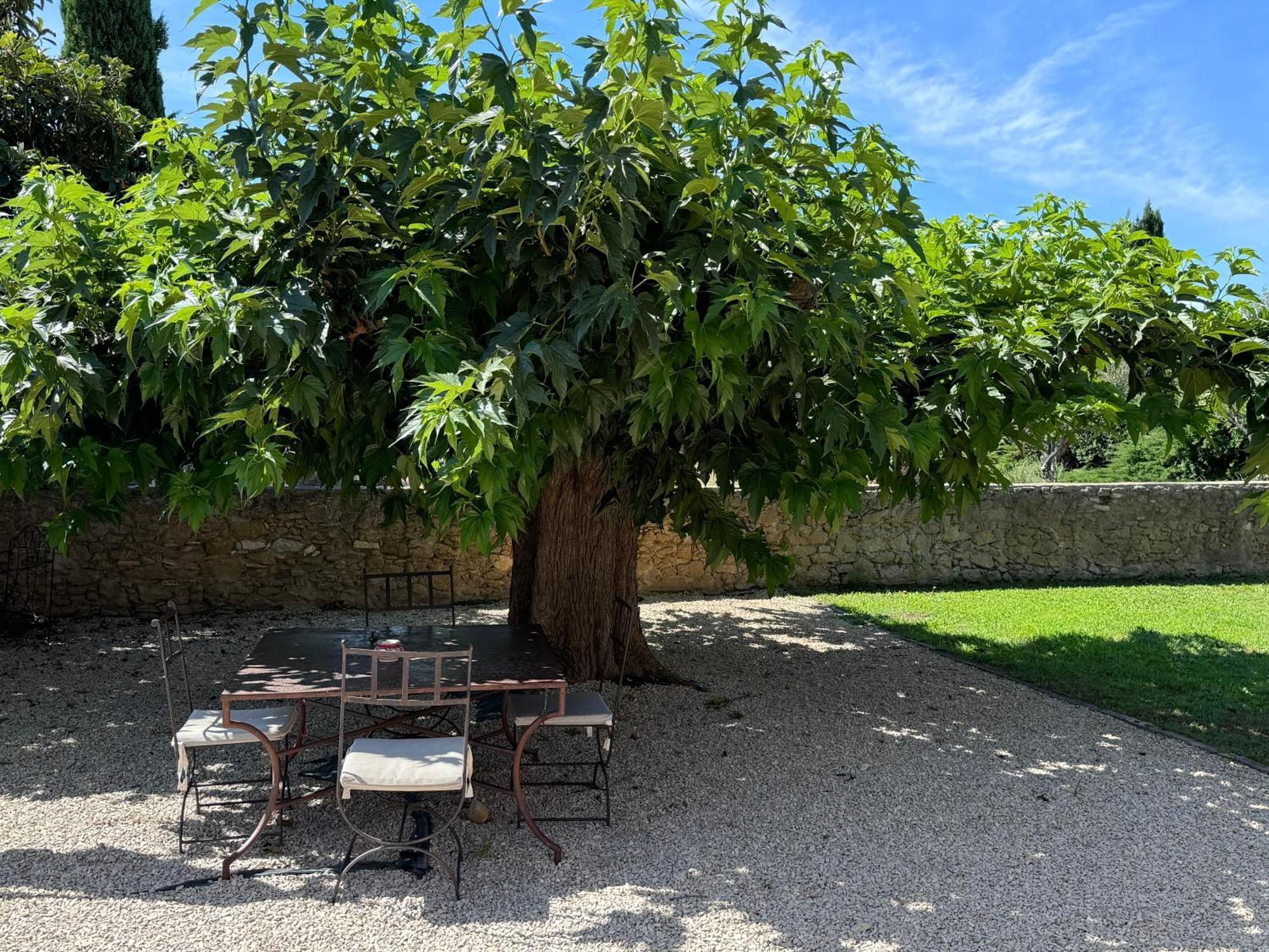 Apartament Bastide Du Buou Puyvert Pokój zdjęcie